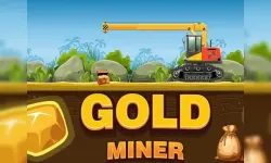 Amazing Gold Miner image