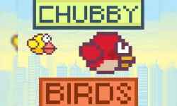 Chubby Birds image