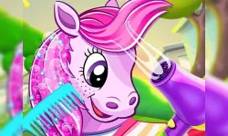 Pony Pet Salon image