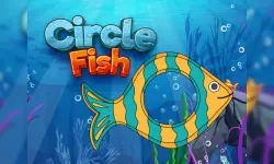 Circle Fish image