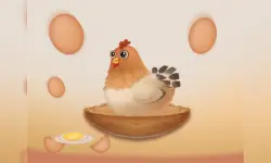 Egg Catcher image
