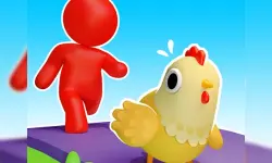 Pet island image