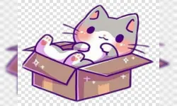 Animals Box 2022 image