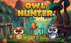 Owl Hunter image