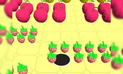 Hole Master image