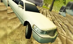 Limousine Hill Drive image