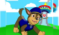 Super Paw Puppy Patrol Adventure Runner image