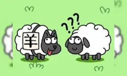 Sheep(???) image