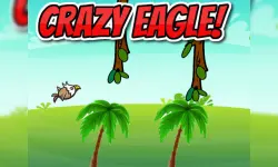 CRAZY EAGLE image