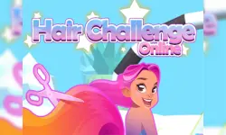 Hair Challenge Online 3D image
