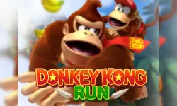 Donkey Kong Run image
