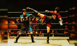Fighters in the Ring image