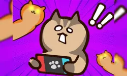 Stealth Master Sneak Cat image