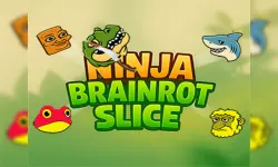 Ninja brainrot Slice image