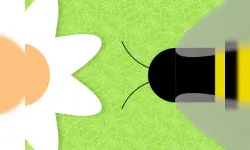 Beenvaders image