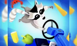 Raccoon Retail image