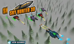 Sky Hunter 3D image