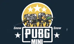 PUBG Mini Snow Multiplayer image
