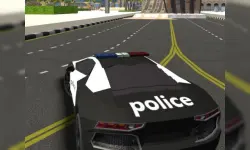 City Car Driving Simulator 3D image