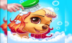 Puppies image