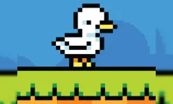 Duck Shift image