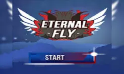 Eternal Fly image