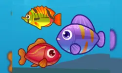 Big Fish Eat Small Fish 2 image