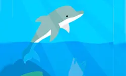 Dolphin Life image