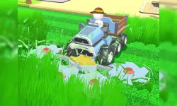 Crazy Lawn Mover image