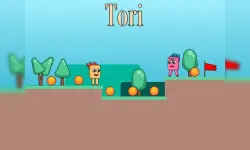 Tori image