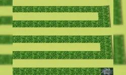 Cut The Grass image