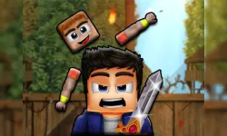 Ragdoll Fighter image
