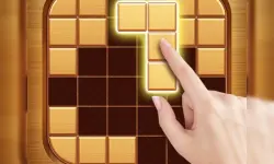 Wood Block Puzzle - Brain Game image