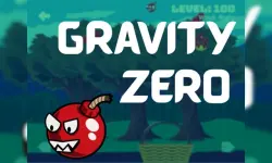 Gravity Zero image