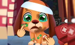 Stray Puppy Pet Care image
