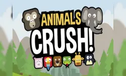 Animal Crush Match image