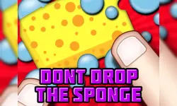Dont Drop The Sponge image