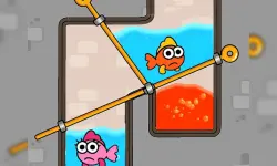 Fish Love Game image