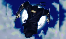 Ninja Defender image