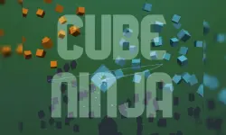 Cube Ninja image