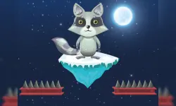 Jumping Raccoon image