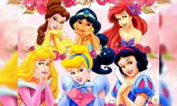 Princess Slide image