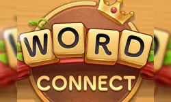 Word Connect Game image