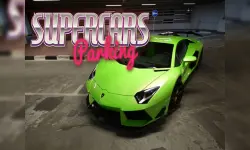 image bg Best Car Parking Simulator