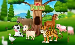 What Is Wrong image
