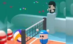 Valley Balls image