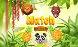 Match Animals image