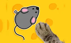 Games for Pets image