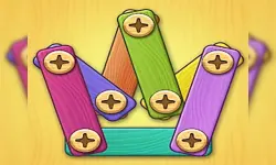 Screw Puzzle DIY image