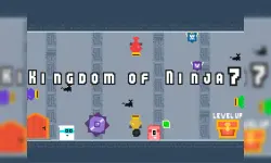 Kingdom of Ninja 7 image